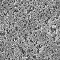 Nylon Net Filter 0.45 um pore size, hydrophilic nylon membrane, 47 mm diameter